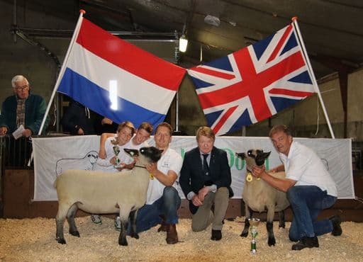 Jaarling ooien
