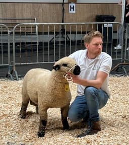 Portrait for Willem Poos