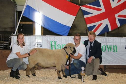 Kampioen rammen 2025